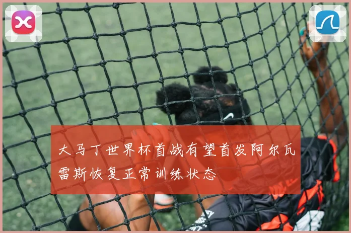 大马丁世界杯首战有望首发阿尔瓦雷斯恢复正常训练状态
