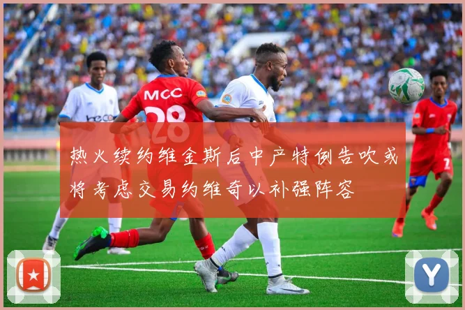 热火续约维金斯后中产特例告吹或将考虑交易约维奇以补强阵容